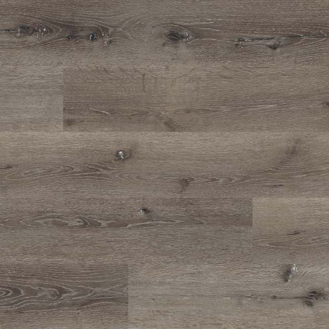 VTGCHAOAK7X48-2.5MM-20MIL - MSI Everlife - Wilmont - Charcoal Oak