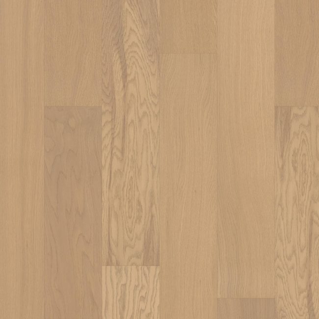 FH813-01101 - Shaw Floorte - Westminster - Glazed Oak