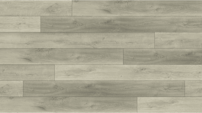 BB-VII - Lions Floor - Bambino SPC - Rivoli