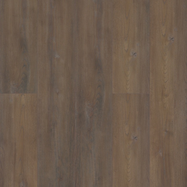 VV491-02951 - COREtec - Coretec Pro Plus XL Enhanced - Santiago Hickory