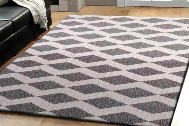 SI245904119 - Dynamic Rugs - SILKY SHAG - White Silver 5904-119 - 2' x 3.3'
