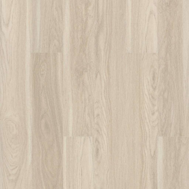 00144_2801V - Shaw Floorte - Palatino Plus - Majestic