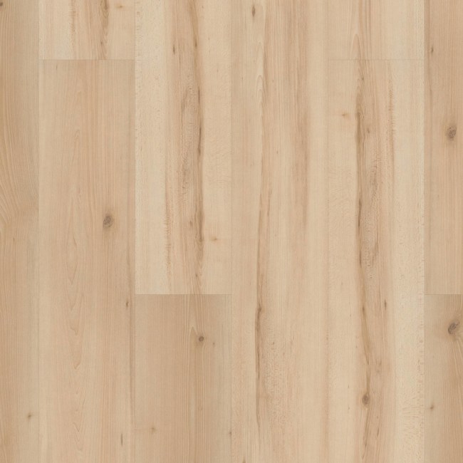 SL449_02026 - Shaw - Cadence - Light Beech