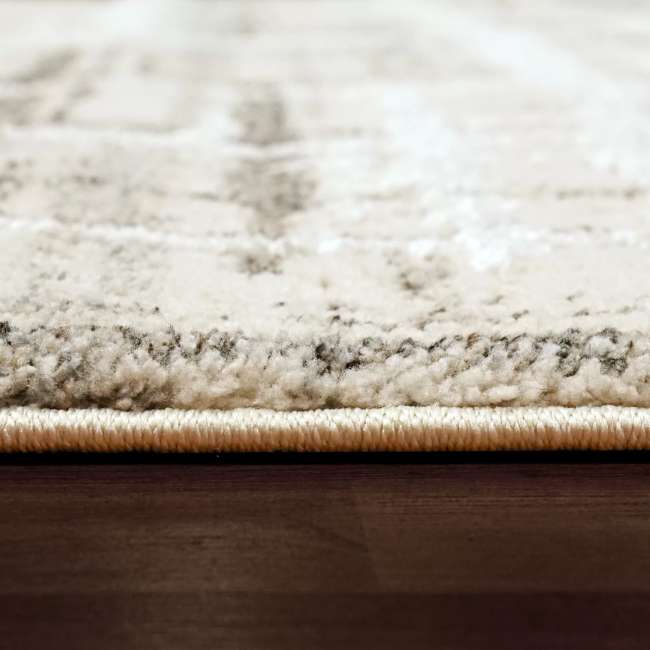 TY9124602110 - Dynamic Rugs - TROYA - Cream Ivory 4602-110 - 7.1' x 10.1'