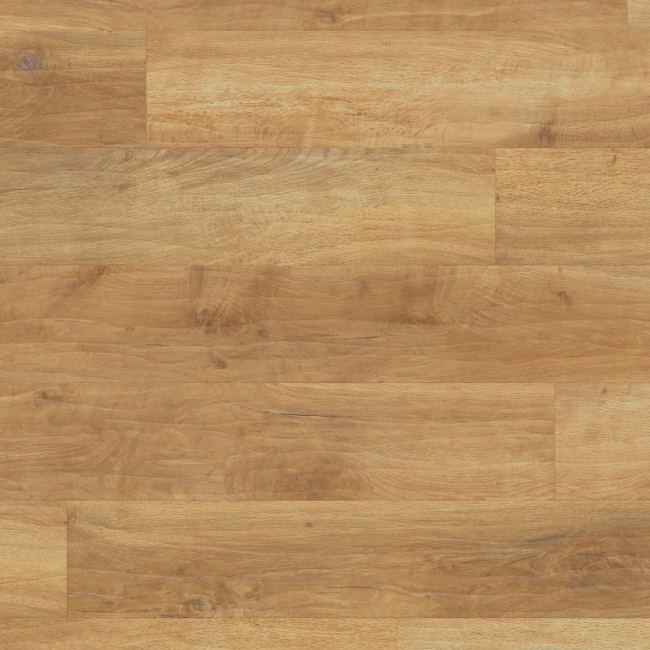 RL01 - Karndean - Art Select - Spring Oak