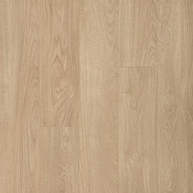 DFD01-220 - Mohawk - Dodford 20 Dryback - Bordeaux Oak