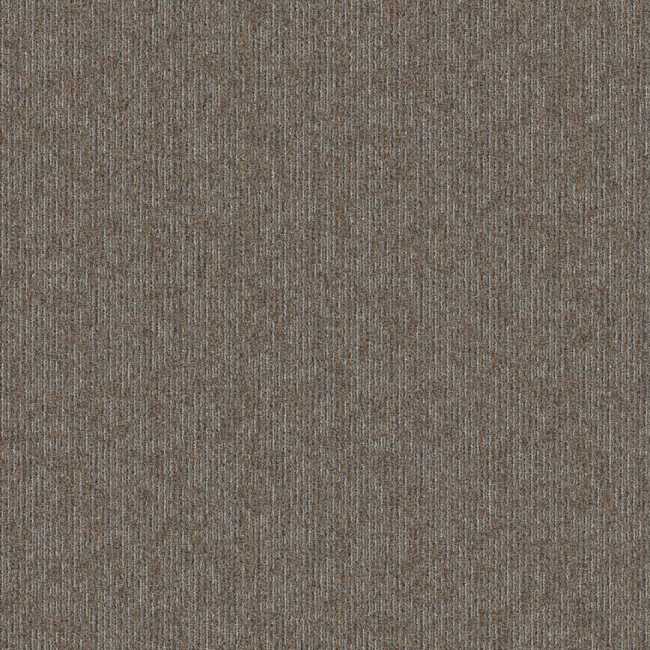 2B179_828 - Aladdin Commercial - Special Coverage - Trending Now