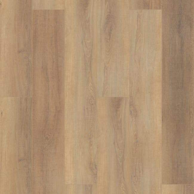 VV488-02093 - COREtec Pro - Premium 9" - Canterbury Elm