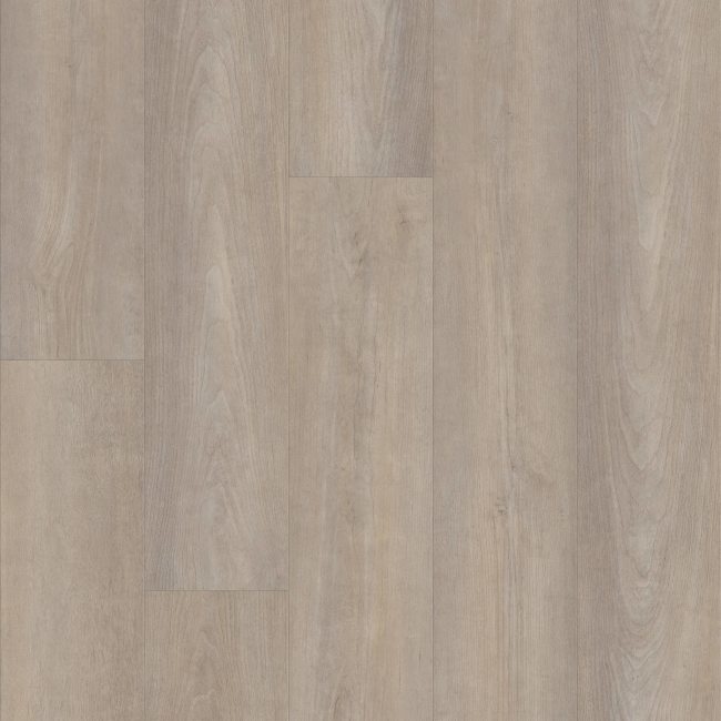 05230_2001V - Shaw Floorte - Pantheon HD Plus - Cenere