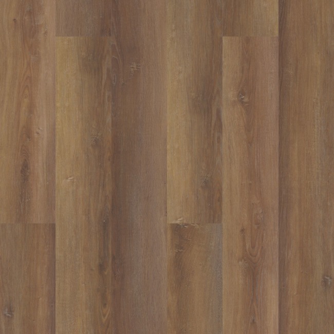 VV490-01654 - COREtec - Coretec Pro Plus XL - Sofia Oak