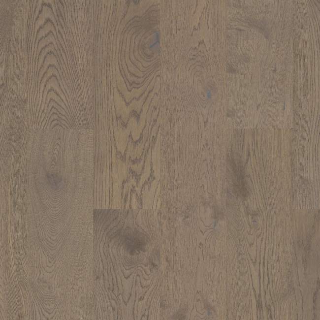 SW485-00508 - Shaw - Castlewood Oak - Armory