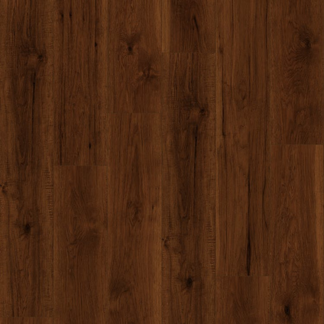 CHRT-29020 Denver Forest - Mannington - Charter Collection 8" - Denver Forest