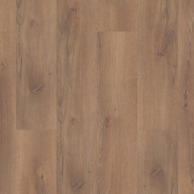 SL449_06006 - Shaw - Cadence - Expressive Brown