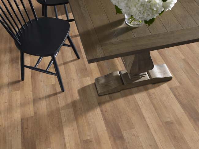 00690_1019V - Shaw Floorte Pro - Paragon 5" Plus - Touch Pine