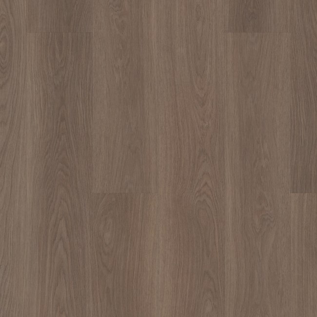 SL449_07730 - Shaw - Cadence - Ash Brown
