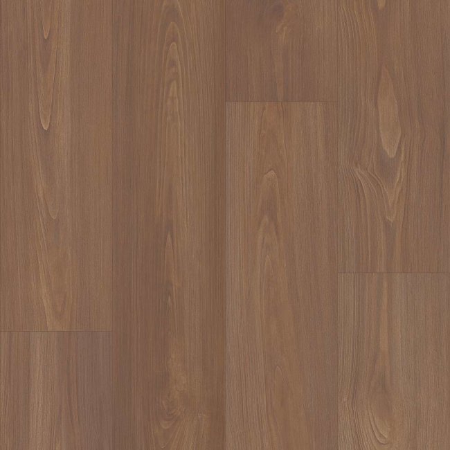 06010_2039V - Shaw Floorte Elite - Prodigy HDR MXL Plus - Sable