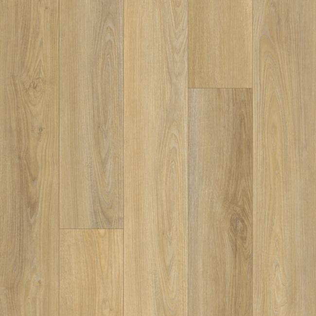 PT001-552 - Pergo Extreme - Wood Originals (old) - Angel Dust