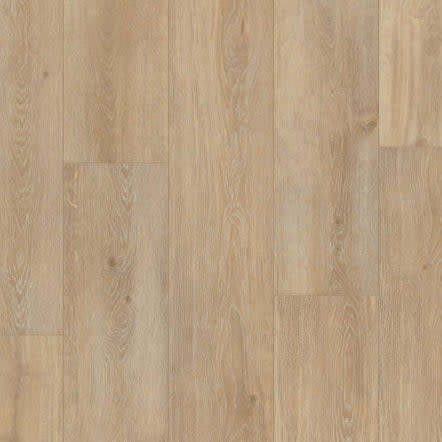 P2237-M9142 - TRUCOR - Prime XXL - Bristol Oak