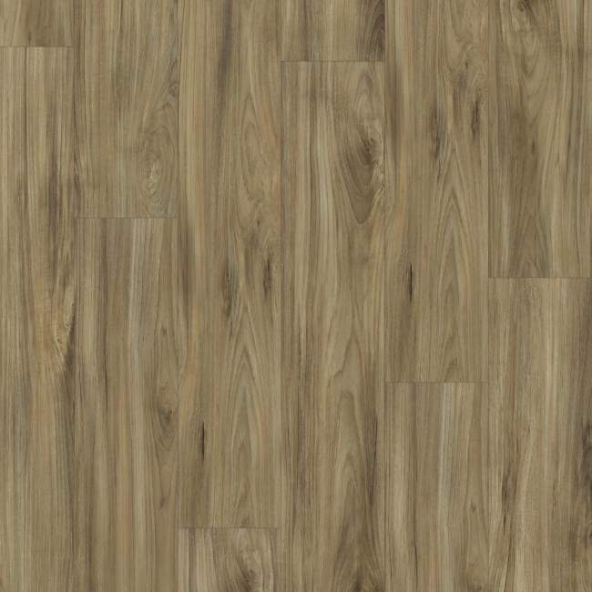 00405_2031V - Shaw Floorte Pro - Impact Plus - Whispering Wood