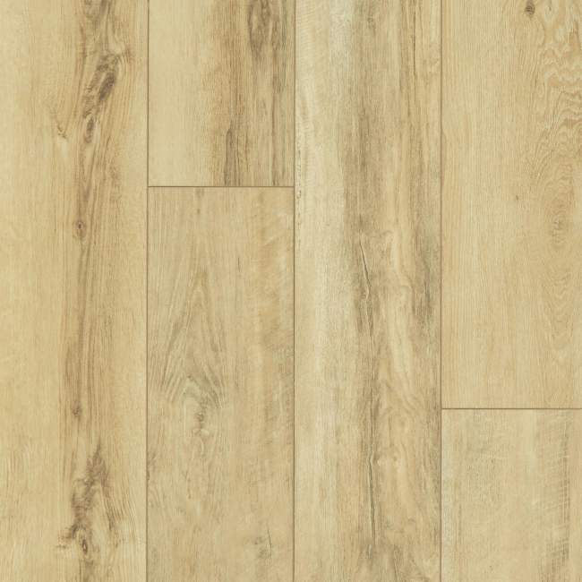 00253_2033V - Shaw Floorte Pro - Paragon XL HD Plus - Classic Oak