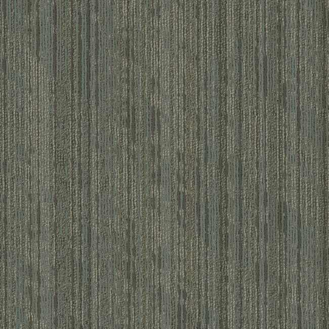 00500_54919 - Shaw 5th & Main - Sort - Pleat