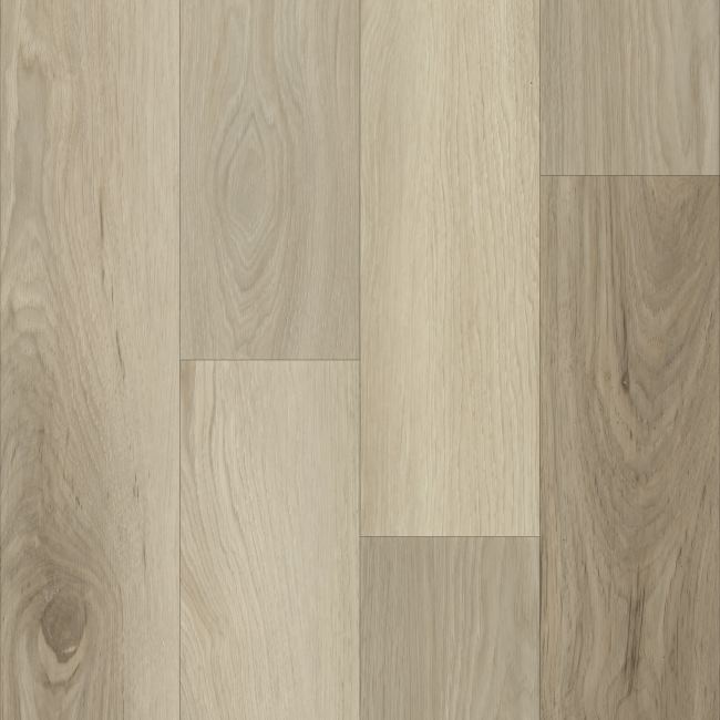P1064-D7761 - TRUCOR - Charlie - Platinum
