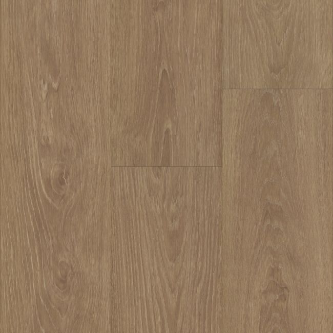 P2243-M1011 - TRUCOR® - Tymbr XL - Leon