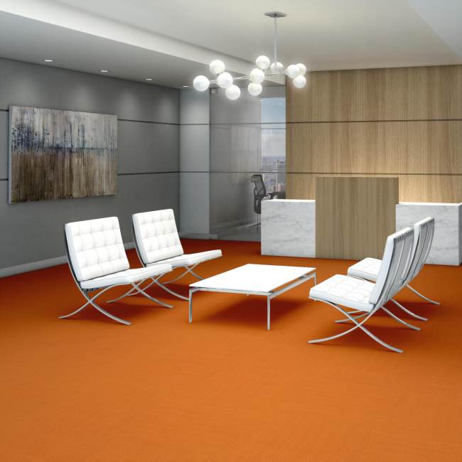 54462_62675 - Philadelphia Contract - Color Accents - Orange