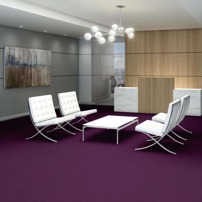 54462_62901 - Philadelphia Contract - Color Accents - Purple
