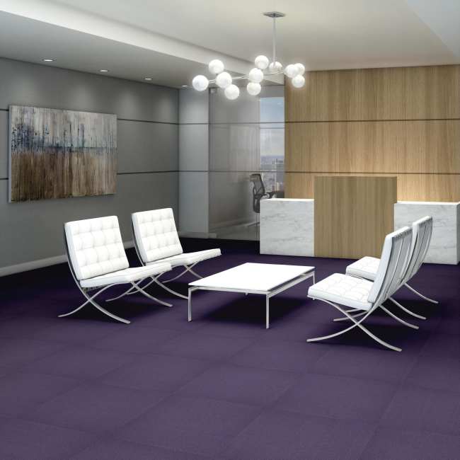 54462_62965 - Philadelphia Contract - Color Accents - Plumberry