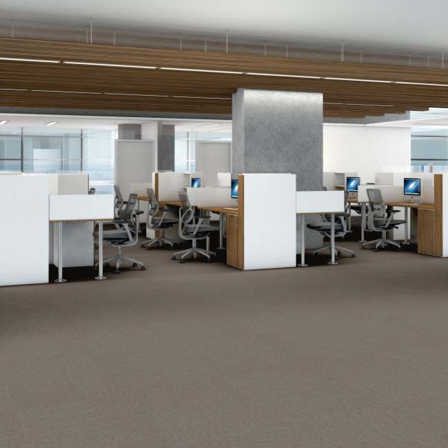 54931_00200 - Main Street by Philadelphia - Profusion Tile - Masses