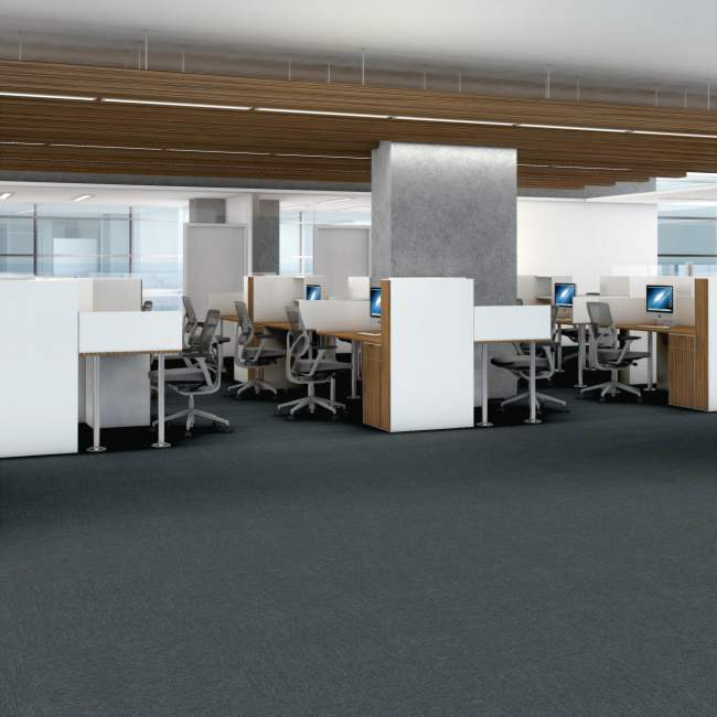 54931_00410 - Main Street by Philadelphia - Profusion Tile - Array
