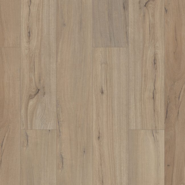 01056_0278V - Shaw Floorte Pro - Paladin Plus - Driftwood