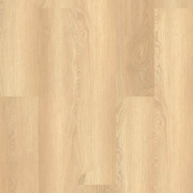 02013_0278V - Shaw Floorte Pro - Paladin Plus - White Sand