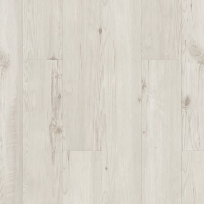 01040-2019V - Shaw Floorte Pro - Allegiance Plus Accent - Jackson Pine