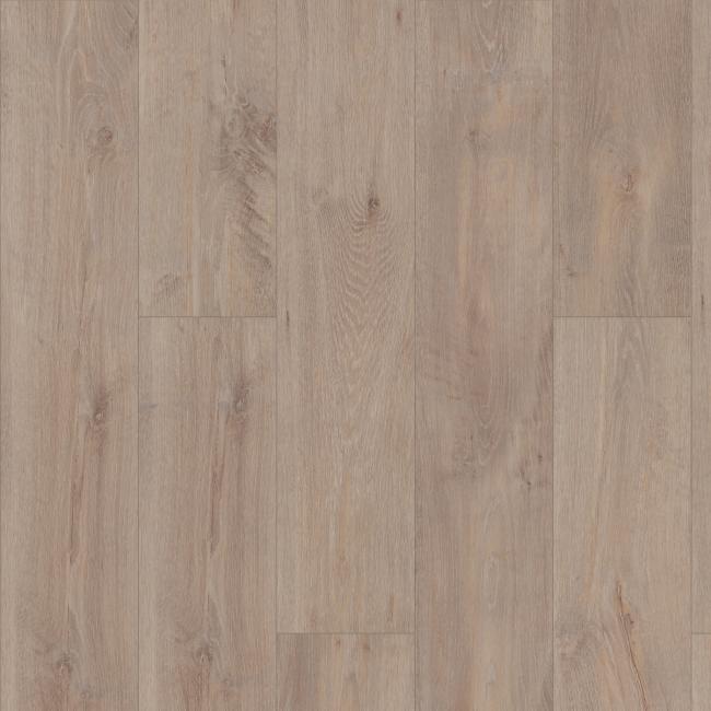 07068-2019V - Shaw Floorte Pro - Allegiance Plus Accent - Ryman