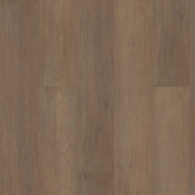 07239-3038V - Shaw Floorte Pro - Paragon HD Plus Natural Bevel - Gable