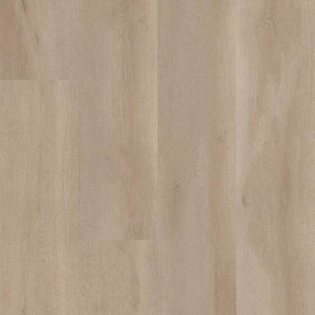 02108-3381V - Shaw Floorte Classic - Aspire Natural Bevel - Coastal Drift