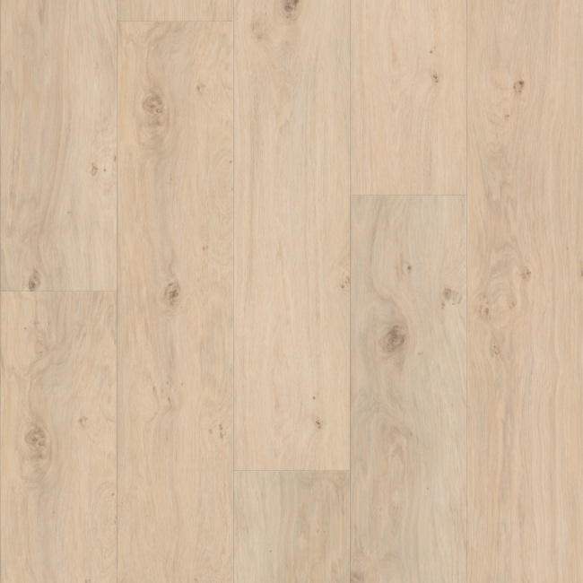 01167-3415V - Shaw Floorte Pro - Fresh Take - Wishbone White