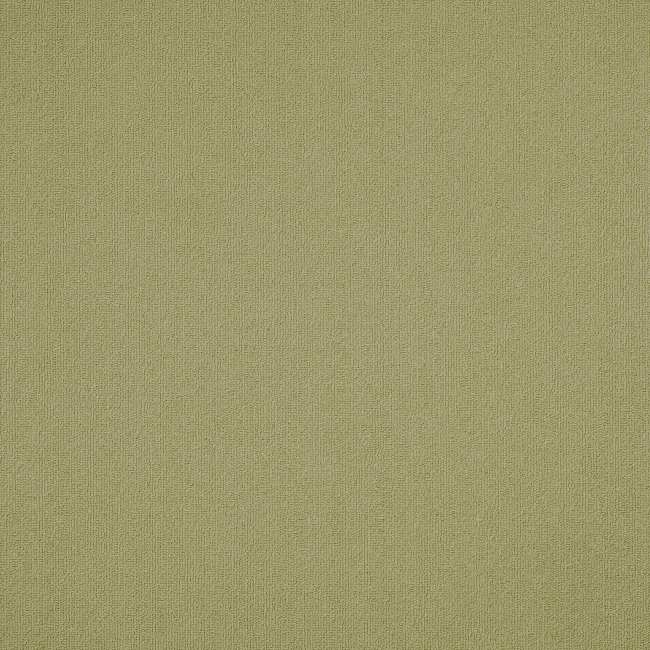 54462_62545 - Philadelphia Contract - Color Accents - Fescue