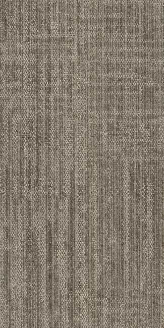 54843_00100 - Philadelphia Contract - Beyond Basic - Raw Beauty - Savvy
