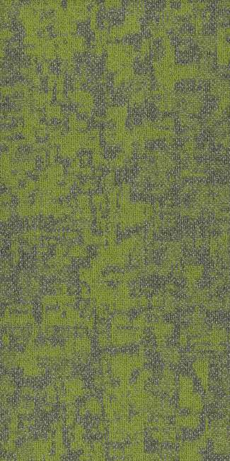 54848_00315 - Philadelphia Contract - Modern Terrain - Arid - Taiga