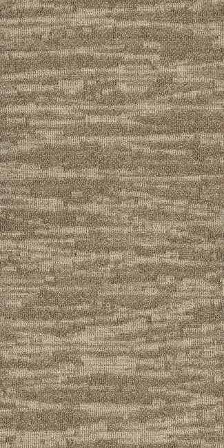 54849_00214 - Philadelphia Contract - Modern Terrain - Tidewater - Dunes