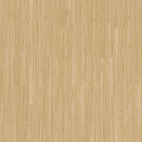 AH125-222 - Camel