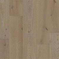FO901-19619 - Angiers