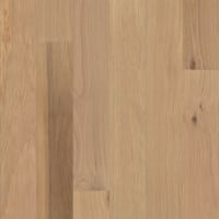 SW772-02079 - Ethos