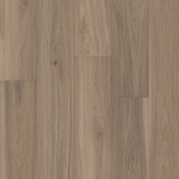 RST8-28625 Revival Rain - Revival Rain