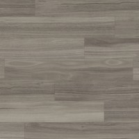 SCB-KP141-6 - Urban Spotted Gum