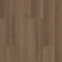 00825-3342V - Raw Sienna