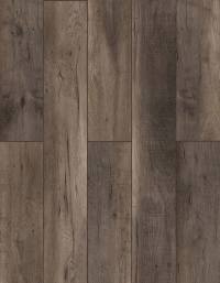 BB-XIV - Cliffside Oak